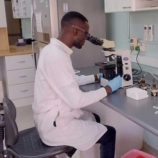 Global health impact